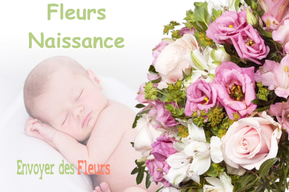 lIVRAISON FLEURS NAISSANCE à SAINT-DIDIER-DE-BIZONNES